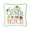 "Cutest Clover In The Patch" St. Patrick's Day Cotton Blend Mini Accent Pillow 10" x 10"